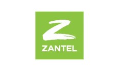 Zantel's Logo